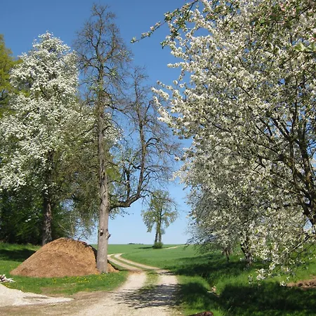 Appartement Rieger *