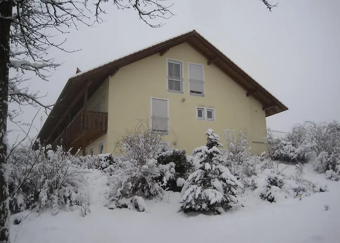 公寓 费列恩霍夫丽格酒店 *