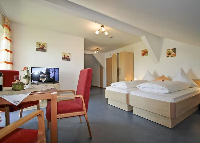 公寓 费列恩霍夫丽格酒店 *